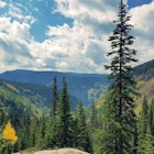 Taken on Booth Falls trail in Vail, Colorado while hiking.